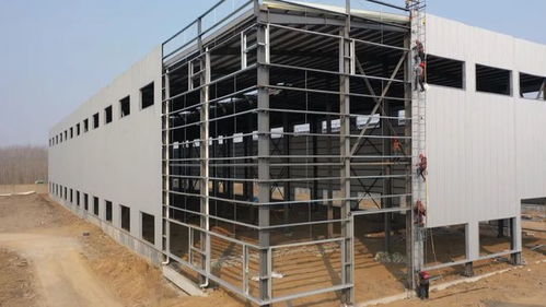 優質服務助推工業強鎮發展，招大引強積蓄新動能